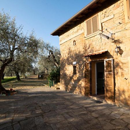 Casetta Maduneta Immersa In Un Oliveto ドルチェアックア エクステリア 写真